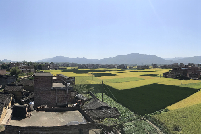 �������ǲ���(�й���)�ٷ���վ