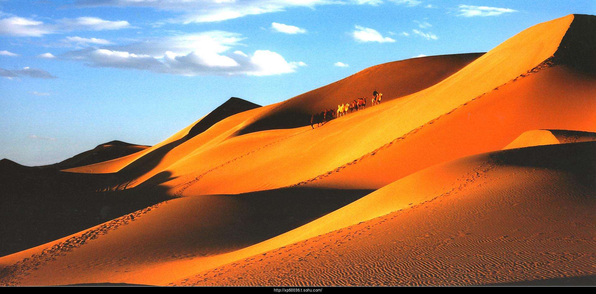 �������ǲ���(�й���)�ٷ���վ