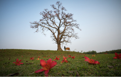 �������ǲ���(�й���)�ٷ���վ