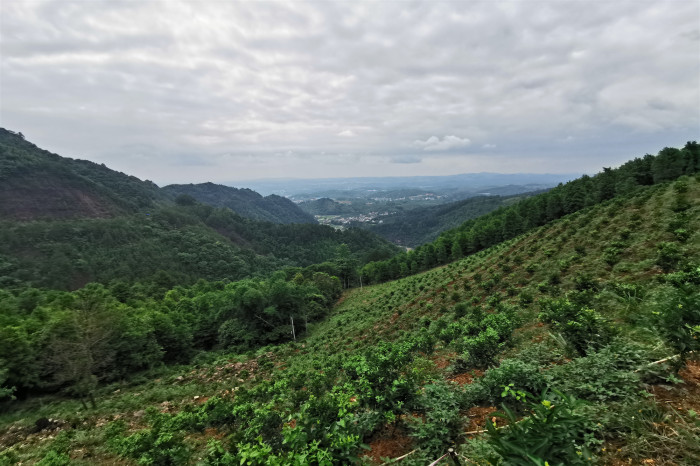 �������ǲ���(�й���)�ٷ���վ