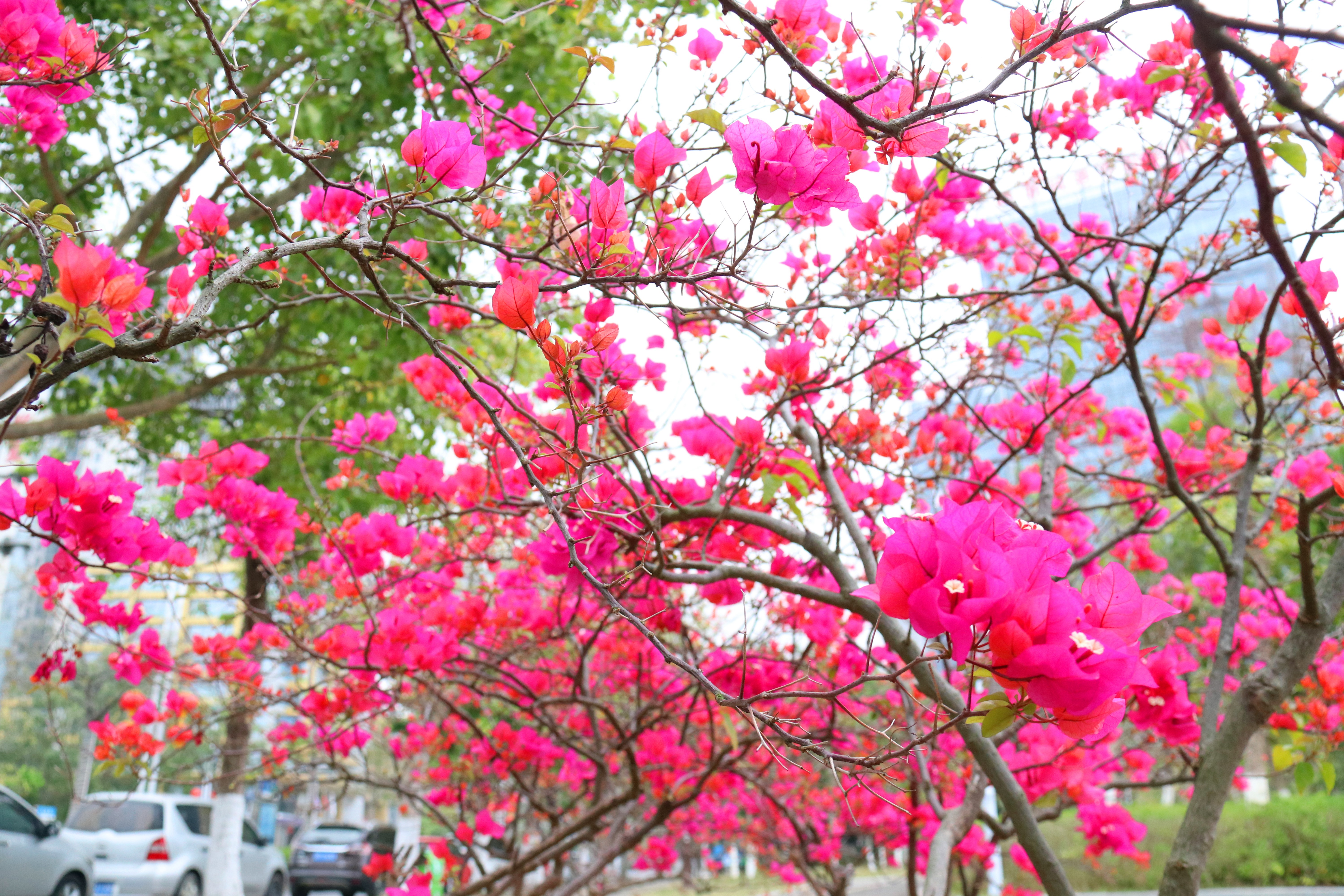 �������ǲ���(�й���)�ٷ���վ