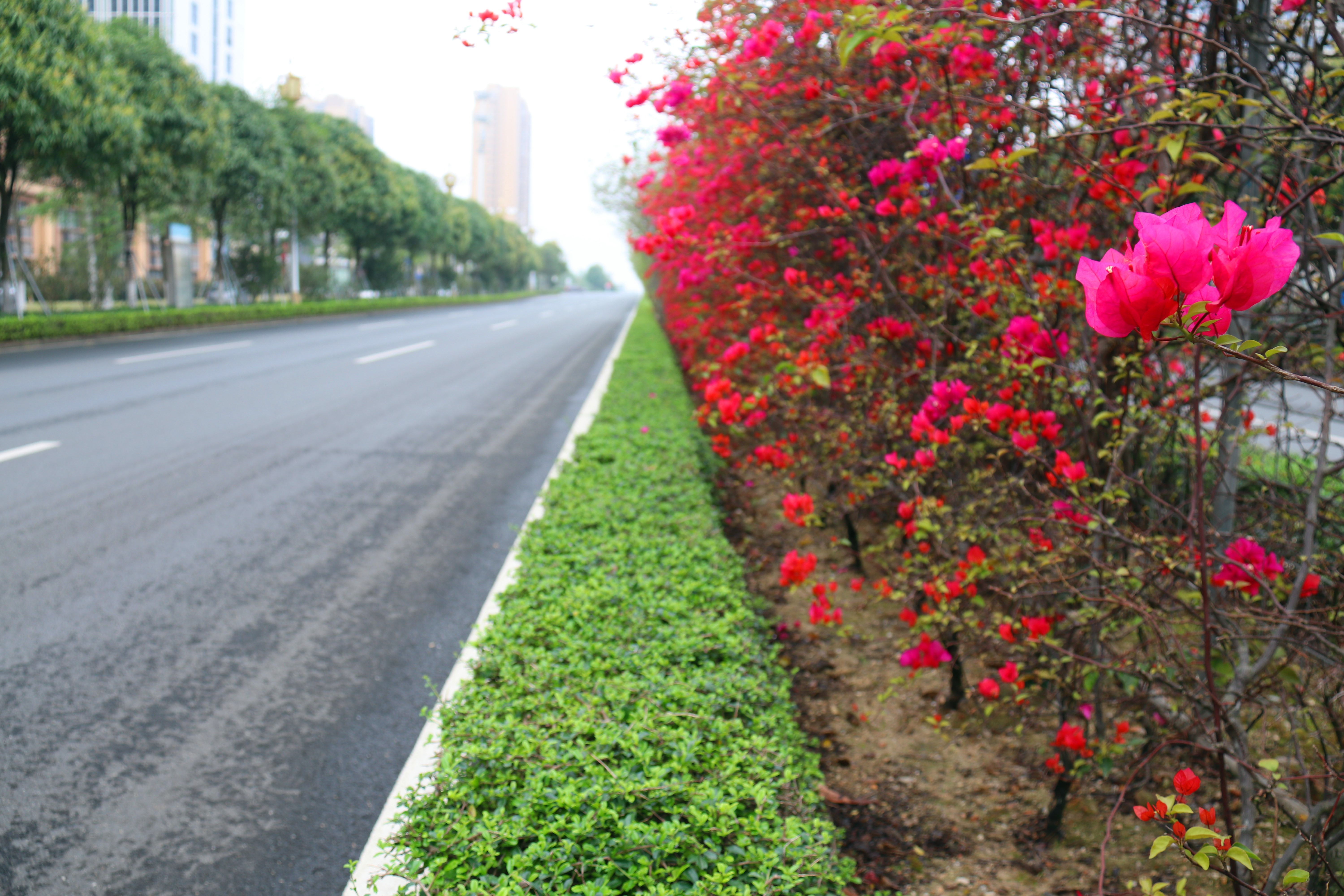 �������ǲ���(�й���)�ٷ���վ