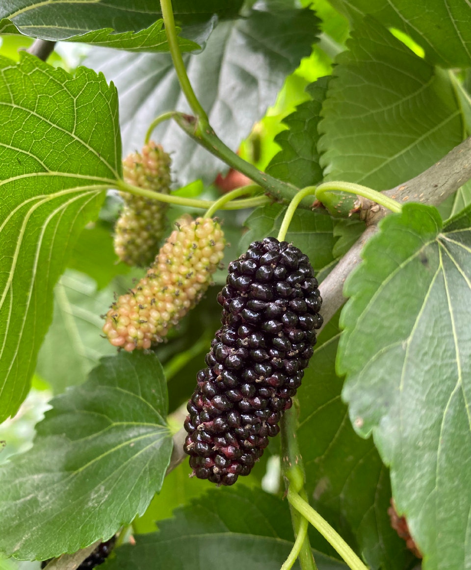 ÈËÉú¾ÍÊDz©¡¤(ÖйúÇø)¹Ù·½ÍøÕ¾