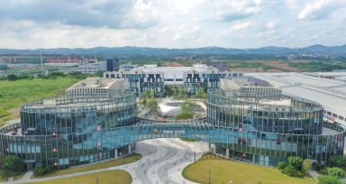 z6com�������ǲ��Ƽ���