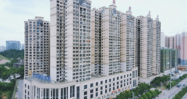 z6com�������ǲ���������