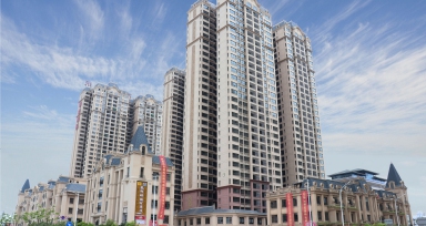 z6com�������ǲ����������