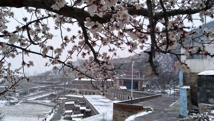 �������ǲ���(�й���)�ٷ���վ