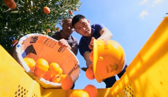 ����z6com�������ǲ�������绪 ��ͨ�緶��ȫ����ͨ������Ӱ����������Ʒ�������һ����