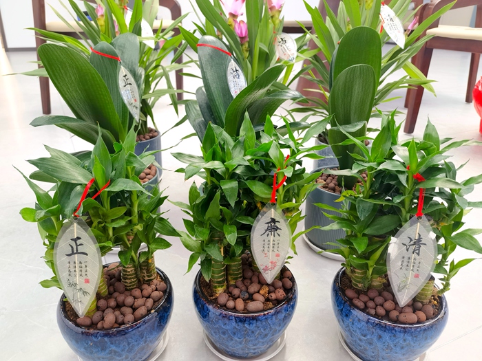 人生就是博·(中国区)官方网站