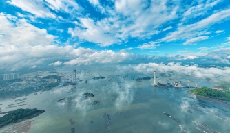 ���Ŵ���