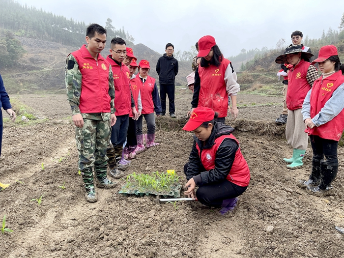 �������ǲ���(�й���)�ٷ���վ