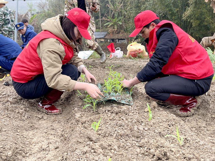 �������ǲ���(�й���)�ٷ���վ