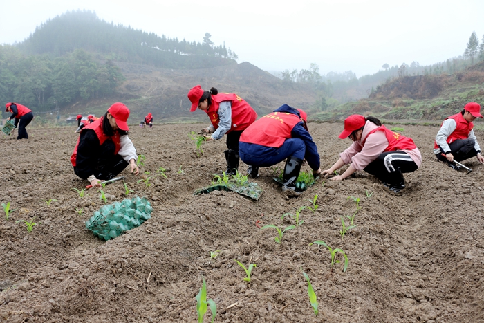 �������ǲ���(�й���)�ٷ���վ