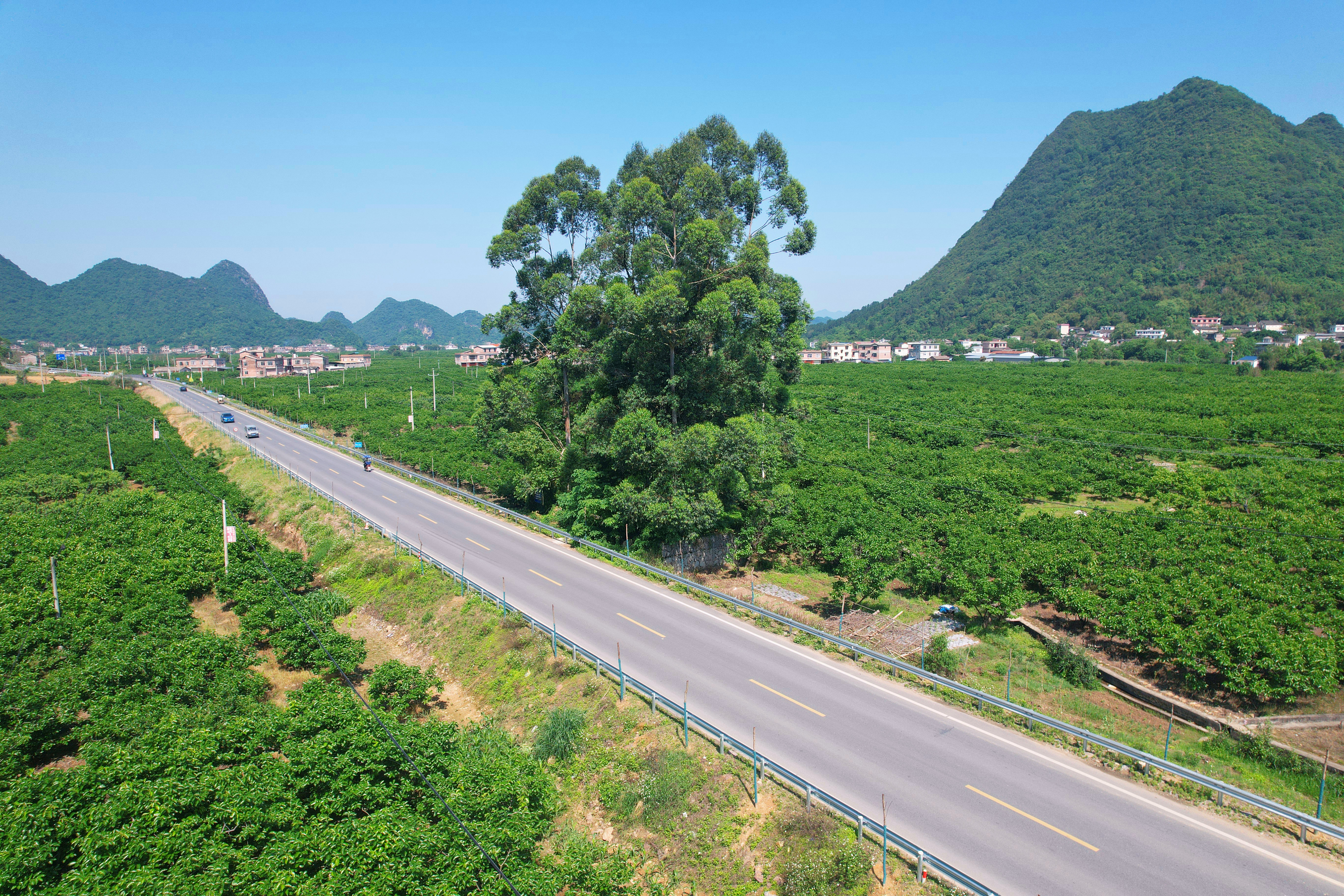 �������ǲ���(�й���)�ٷ���վ