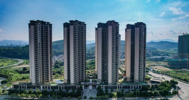 z6com�������ǲ����۽���