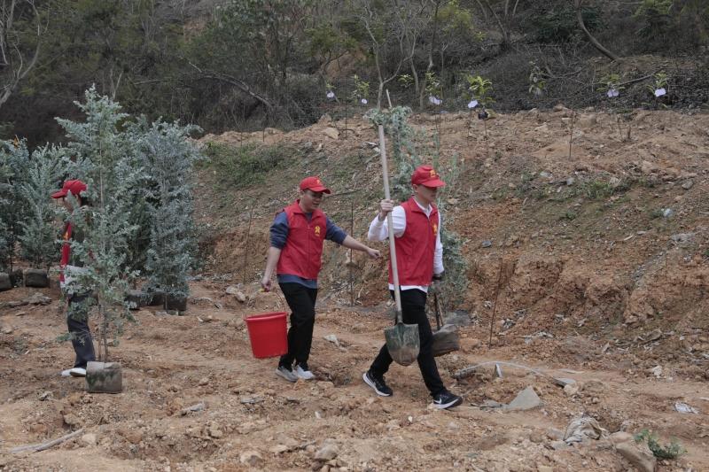 �������ǲ���(�й���)�ٷ���վ